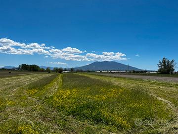 Terreno agricolo