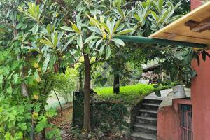 CASA SEMINDIPENDENTE A SAN COLOMBANO CERTENOLI