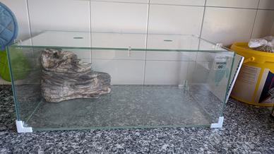 Tartarughiera in vetro