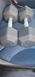 Coppia manubri 10 kg + 12,5 kg Decathlon