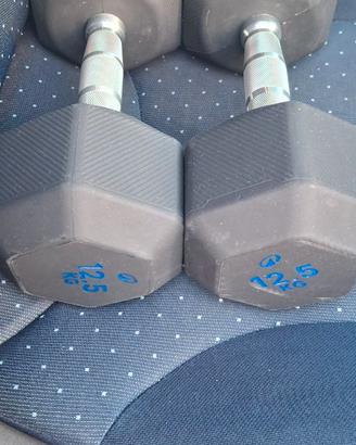 Coppia manubri 10 kg + 12,5 kg Decathlon