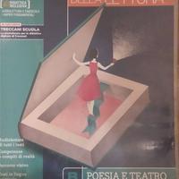 libro liceo letteratura B
