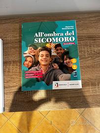 Libro Religione All'ombra del Sicomoro