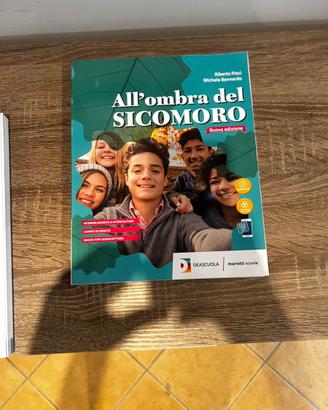 Libro Religione All'ombra del Sicomoro