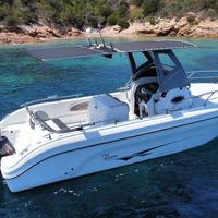Ranieri 26 minnkota con 250hp