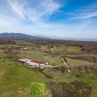 Azienda agricola zootecnica 86 HA con caseificio