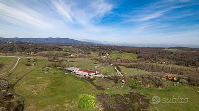 Azienda agricola zootecnica 86 HA con caseificio
