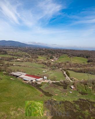 Azienda agricola zootecnica 86 HA con caseificio