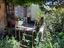 Immagine 10