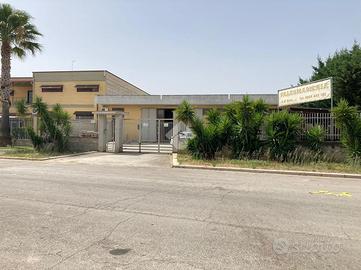 CAPANNONE A CERIGNOLA