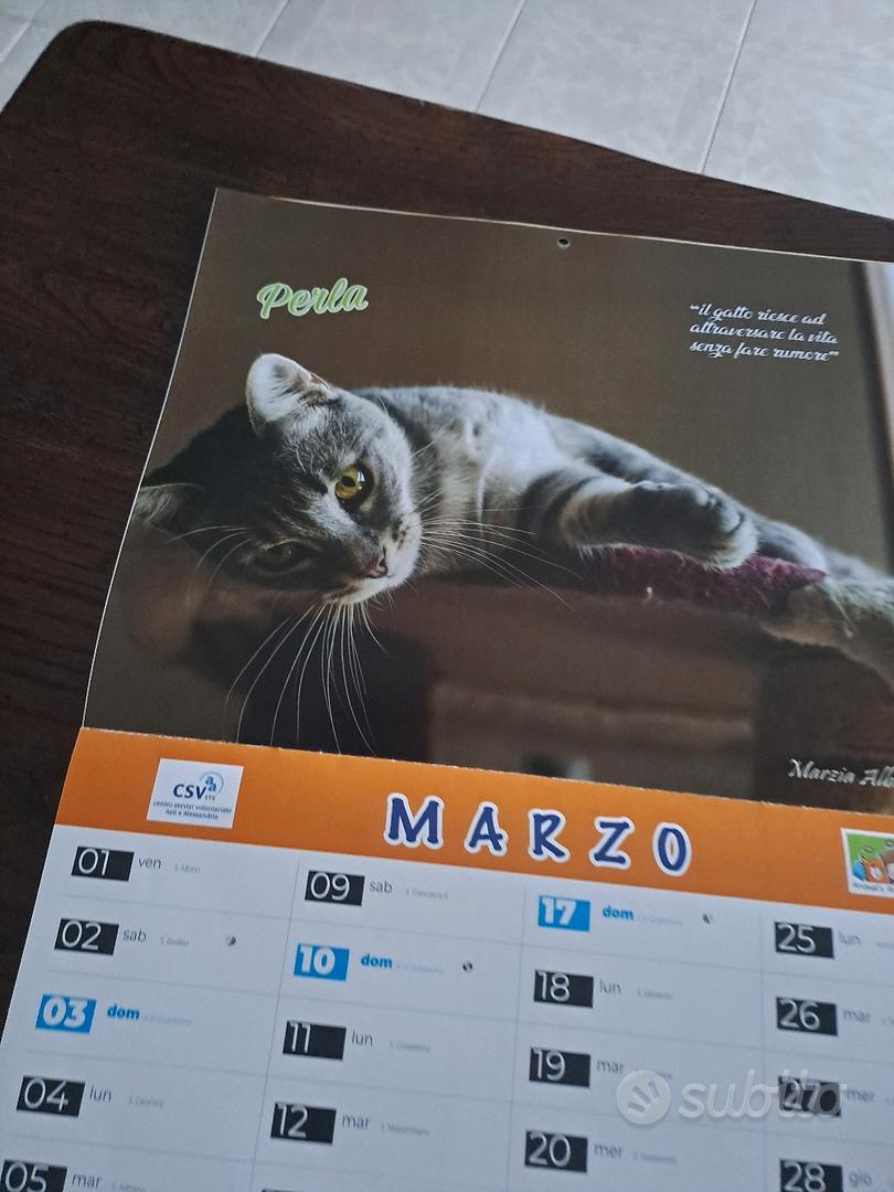 Calendario 2024 con foto di Gatti - Libri e Riviste In vendita a Alessandria