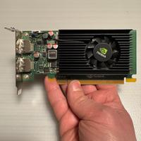 Scheda video NVIDIA NVS 310 1 GB