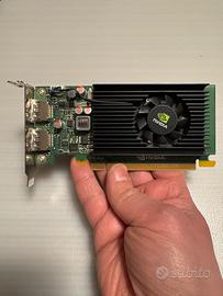 Scheda video NVIDIA NVS 310 1 GB
