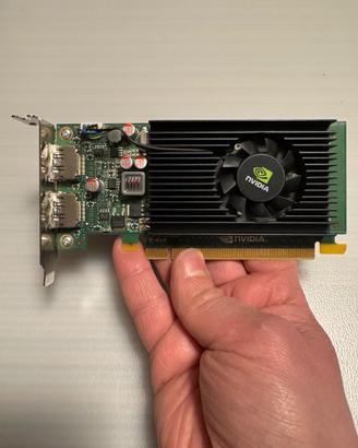 Scheda video NVIDIA NVS 310 1 GB
