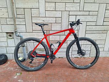 Bici Willer 501XN trattabile
