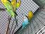 Immagine 2