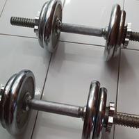 pesi da palestra 