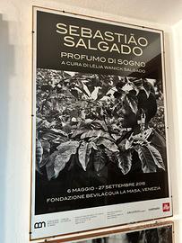 Sebastiào Salgado Profumo di un sogno   poster