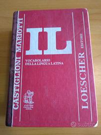 Dizionario 