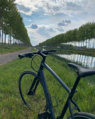 Bici specialized sirrus
