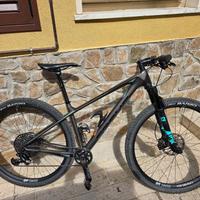 Focus Raven Max SL 29