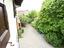 Immagine 23
