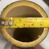 Tana in bambù naturale per Loricaridi