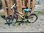 Immagine 1