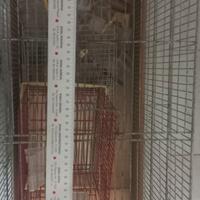 Casa/ gabbia per volatili