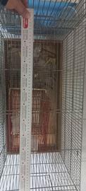 Casa/ gabbia per volatili