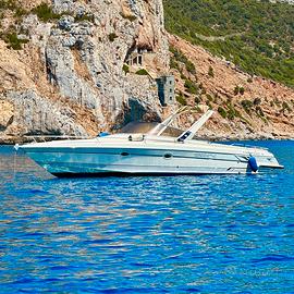 Cranchi Endurance 31