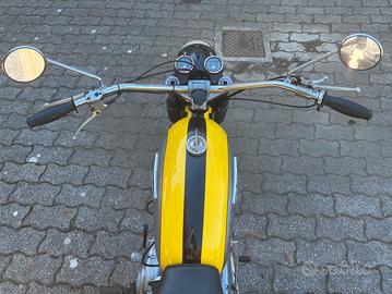 Ducati scrambler 450
