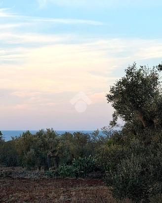 TER. RESIDENZIALE A CAROVIGNO