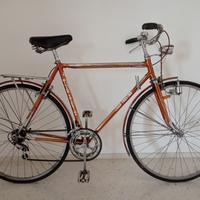 Wilier sport ramata