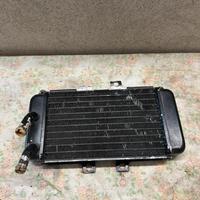 Radiatore scooter 50