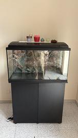 Acquario