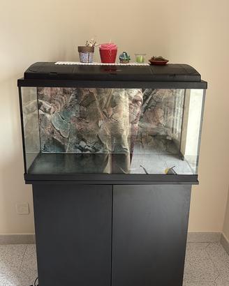 Acquario