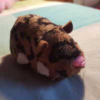 Zhu zhu pet nuovo