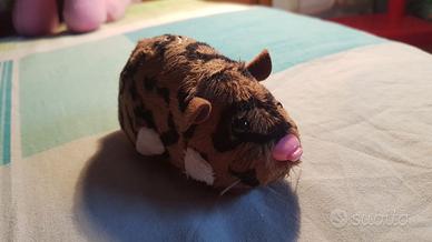 Zhu zhu pet nuovo
