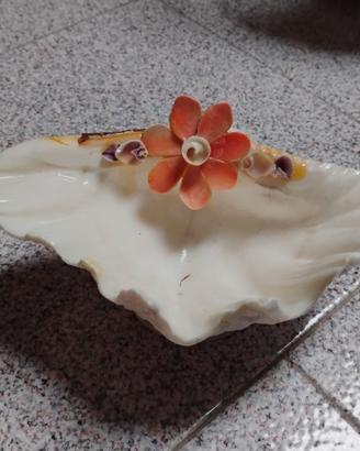 Articoli delle foto