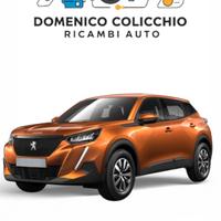 Ricambi musata peugeot 2008 anno 2021 completa
