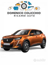 Ricambi musata peugeot 2008 anno 2021 completa