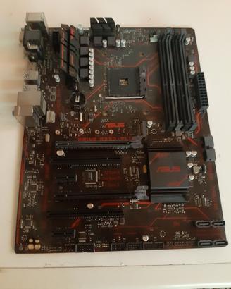 Scheda madre Asus B 350 plus