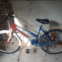 bicicletta mobile donna