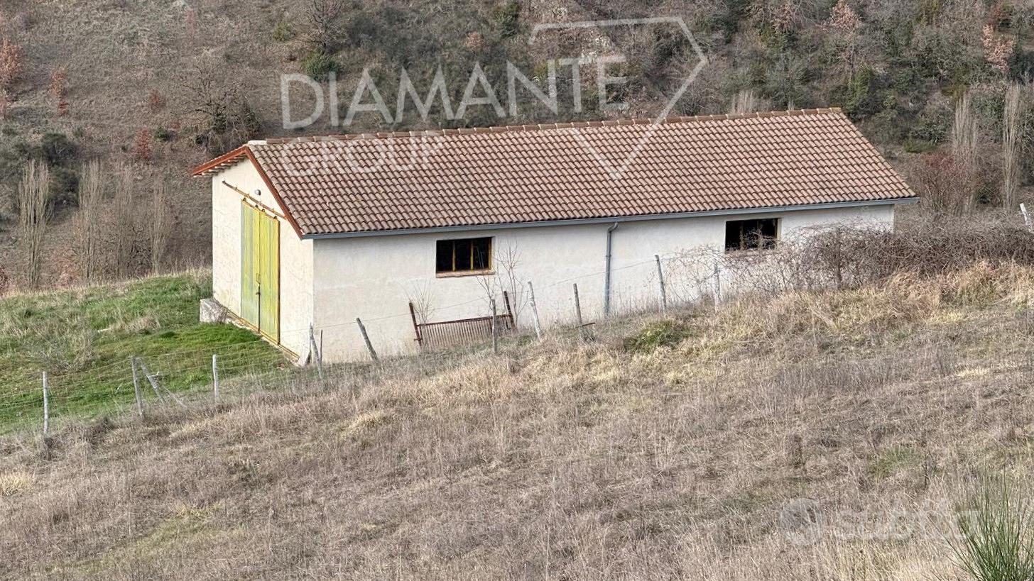 Azienda agricola di 6 ettari con casa e annessi - Altro