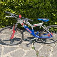 Mountain bike