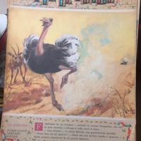 11 riviste tutti in fiabe anni’ 70