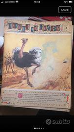 11 riviste tutti in fiabe anni’ 70