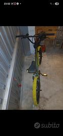 bicicletta 20 pollici