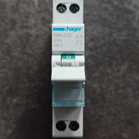 Sezionatore 2 Poli 25A 1 Modulo Hager SBN225